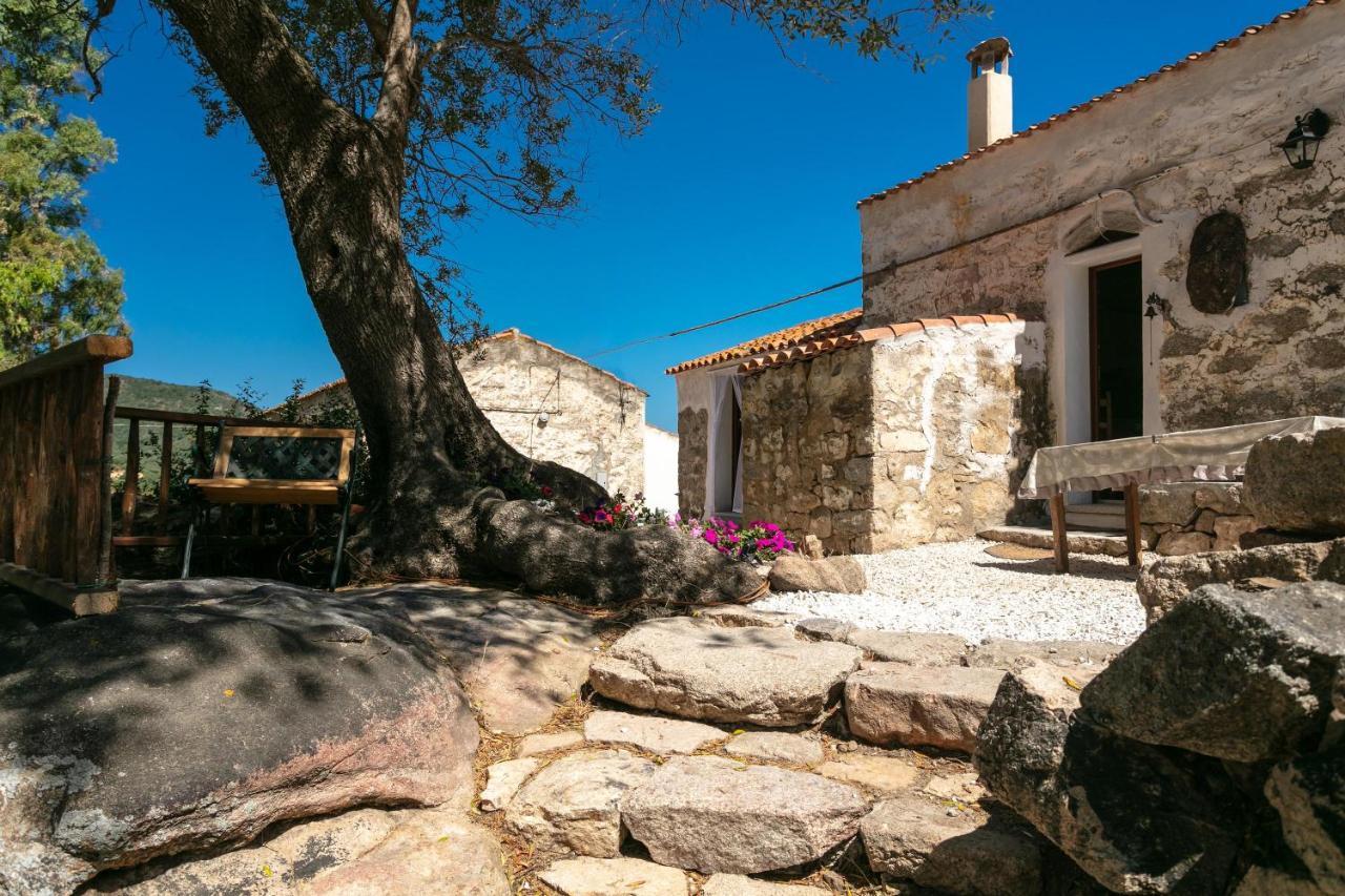 Casa Vacanza Stazzu Saiacciu Палау Екстериор снимка